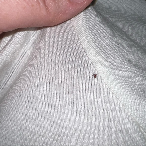 🌼 🎄Cat & Jack Shirt Toddler Girls Size 4T 5T New NWOT Christmas Shirt Family - Picture 7 of 16